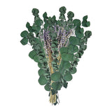 Maxbell Eucalyptus Lavender Flowers Bundle Plant for Office Decorations Dining Room