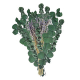 Maxbell Eucalyptus Lavender Flowers Bundle Plant for Office Decorations Dining Room