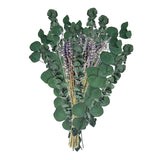 Maxbell Eucalyptus Lavender Flowers Bundle Plant for Office Decorations Dining Room
