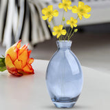 Maxbell Modern Flower Vase Floral Arrangement Transparent for Bedroom Outdoor Indoor Blue Height 12cm
