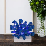 Maxbell Resin Coral Statue LED with Light Desk Lamp for Desktop Bar Decor Blue
