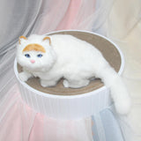 Maxbell Round Cat Scratcher Cardboard Durable Nest Furniture Protection for Kitten White