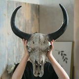 Maxbell Bull Head Wall Sculpture Rustic Realistic Resin Small for Housewarming Gift