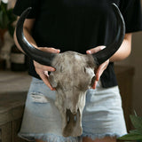 Maxbell Bull Head Wall Sculpture Rustic Realistic Resin Small for Housewarming Gift