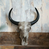 Maxbell Bull Head Wall Sculpture Rustic Realistic Resin Small for Housewarming Gift