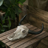 Maxbell Bull Head Wall Sculpture Rustic Realistic Resin Small for Housewarming Gift