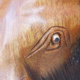 Maxbell Wall Elephant Sculpture Wall Hanging for Living Room Background Housewarming 12inch