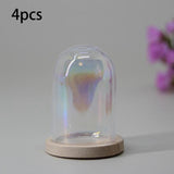 Maxbell Glass Cloche Dome Micro Landscape Jar Ornament Transparent DIY Flowers Cover Pearlescent Beige