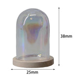 Maxbell Glass Cloche Dome Micro Landscape Jar Ornament Transparent DIY Flowers Cover Pearlescent Beige