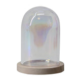 Maxbell 4 Pieces Glass Cloche Dome Clear Holder Tabletop Ornament Mini Bell Jar Dome Light Brown