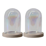 Maxbell 4 Pieces Glass Cloche Dome Clear Holder Tabletop Ornament Mini Bell Jar Dome Light Brown