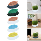 Maxbell Cats Grass Sprouter Tray with Drain Holes for Garden Greens Greenhouse Blue Orange
