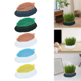Maxbell Cats Grass Sprouter Tray with Drain Holes for Garden Greens Greenhouse Blue Orange