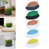 Maxbell Cats Grass Sprouter Tray with Drain Holes for Garden Greens Greenhouse Blue Orange
