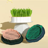Maxbell Cats Grass Sprouter Tray with Drain Holes for Garden Greens Greenhouse Blue Orange