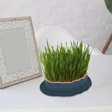Maxbell Cats Grass Sprouter Tray with Drain Holes for Garden Greens Greenhouse Blue Orange