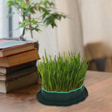 Maxbell Cats Grass Sprouter Tray with Drain Holes for Garden Greens Greenhouse Green