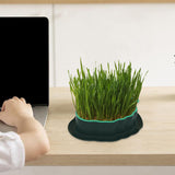 Maxbell Cats Grass Sprouter Tray with Drain Holes for Garden Greens Greenhouse Green