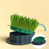 Maxbell Cats Grass Sprouter Tray with Drain Holes for Garden Greens Greenhouse Green