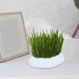 Maxbell Cats Grass Sprouter Tray with Drain Holes for Garden Greens Greenhouse White Color Blue