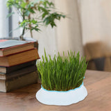 Maxbell Cats Grass Sprouter Tray with Drain Holes for Garden Greens Greenhouse White Color Blue