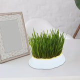 Maxbell Cats Grass Sprouter Tray with Drain Holes for Garden Greens Greenhouse White Yellow