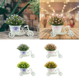 Maxbell Flower Basket Container Tricycle Home Decor for Balcony Garden Desk Purple