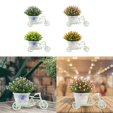 Maxbell Flower Basket Container Tricycle Home Decor for Balcony Garden Desk Purple