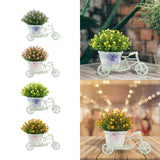 Maxbell Flower Basket Container Tricycle Home Decor for Balcony Garden Desk Purple