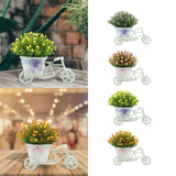 Maxbell Flower Basket Container Tricycle Home Decor for Balcony Garden Desk Purple