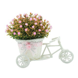 Maxbell Flower Basket Container Tricycle Home Decor for Balcony Garden Desk Pink