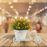 Maxbell Flower Basket Container Tricycle Home Decor for Balcony Garden Desk Red