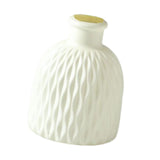 Maxbell Flower Vase Gift Art Crafts Plastic Vase for Centerpiece Desktop Living Room White