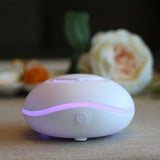 Maxbell Essential Oil Diffuser USB Mini Perfume Scent Diffuser for Home Toilet
