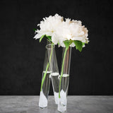 Maxbell Test Tube Flower Vase 3 Test Tubes Art for Floral Arrangement Indoor Bedroom