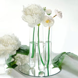 Maxbell Test Tube Flower Vase 3 Test Tubes Art for Floral Arrangement Indoor Bedroom