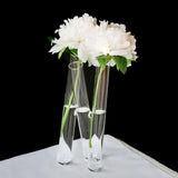 Maxbell Test Tube Flower Vase 3 Test Tubes Art for Floral Arrangement Indoor Bedroom