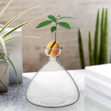 Maxbell Hydroponic Bottle Decoration Art Flowerpot Crafts Bulb Seeds Starter Vase