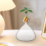 Maxbell Hydroponic Bottle Decoration Art Flowerpot Crafts Bulb Seeds Starter Vase