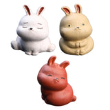 Maxbell Rabbit Figurine Tea Pet Sculpture Bunny Statue for Bedroom Table Centerpiece White