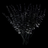 Maxbell 20 Pieces Artificial Eucalyptus Leaves Large Bunch for Office Garden