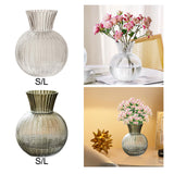 Maxbell Glass Flower Vase Round Ball Shaped Glass Vase for Dining Table Home Desktop S Clear 10cmx21cm