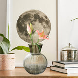 Maxbell Glass Flower Vase Round Ball Shaped Glass Vase for Dining Table Home Desktop L Gray 12cmx25cm
