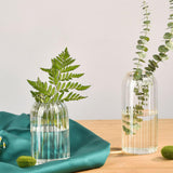 Maxbell Glass Vase Simple Flower Container Glass Bottle Flower Vases Plant Holder 9cmx10cm