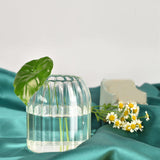 Maxbell Glass Vase Simple Flower Container Glass Bottle Flower Vases Plant Holder 9cmx10cm