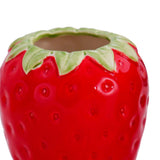 Maxbell Strawberry Ceramic Flower Vase Flower Pot for Shelf Living Room Dining Table S