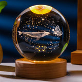 Maxbell 6cm Clear Ball Night Light Projection Lamp with USB Cable for Study, Hallway Whale