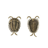 Maxbell Trilobites Ornament for Kids Mini Trilobite Decor for Cafe Shelf Living Room