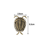 Maxbell Trilobites Ornament for Kids Mini Trilobite Decor for Cafe Shelf Living Room