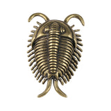 Maxbell Trilobites Ornament for Kids Mini Trilobite Decor for Cafe Shelf Living Room